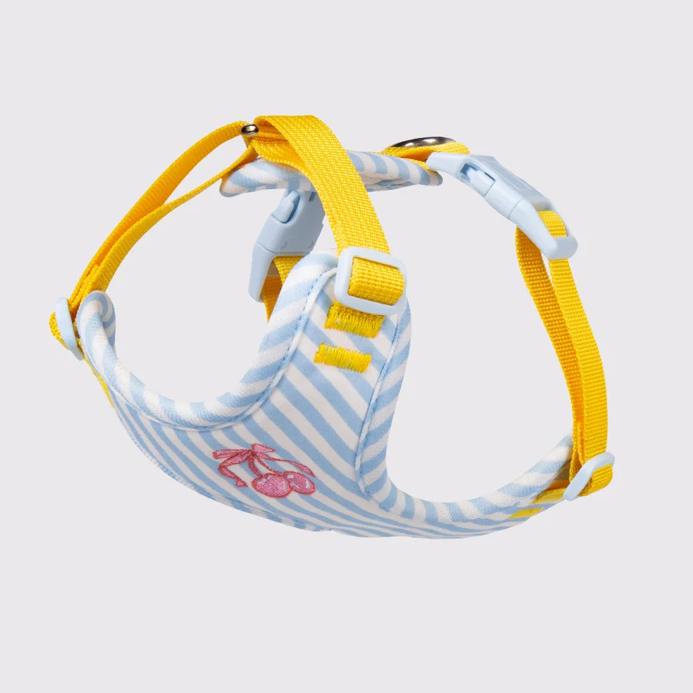 Dog harness and leash set with light blue striped fabric and yellow adjustable straps