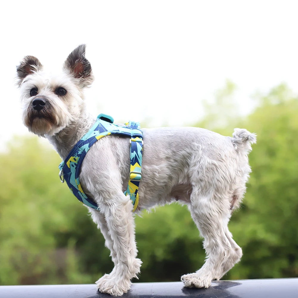 Mesh adjustable dog harness vest on small dog, blue and yellow graphic print