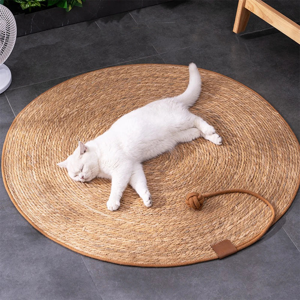 Rattan Cat Scratching Board