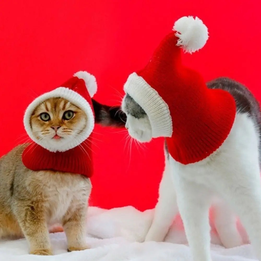 Festive Wool Hat for Cats & Dogs — Christmas & New Year