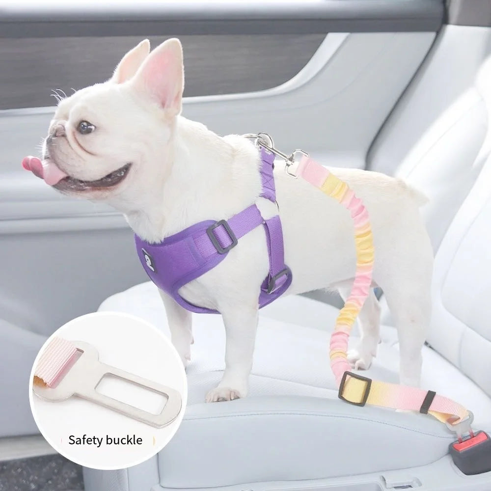 Pet Car Safety Belt Buckle for Dogs and Cats