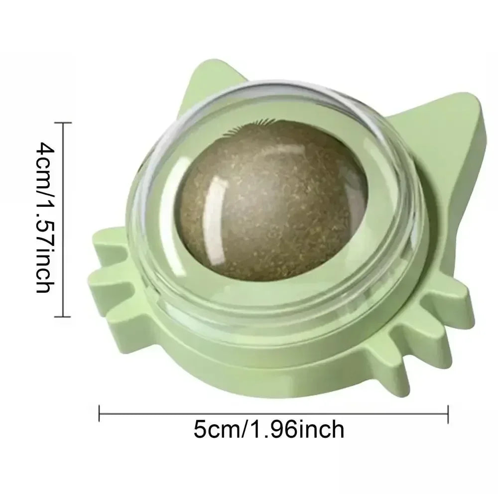 Wall Spin Catnip Ball Toy for Cats | PawJoyKwT