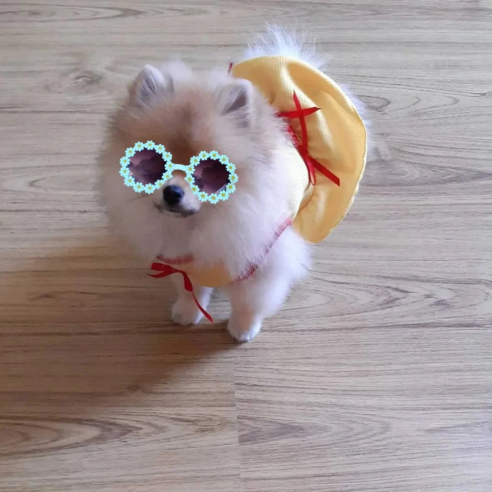 Round flower sunglasses for pets, light blue flower trim on a white frame