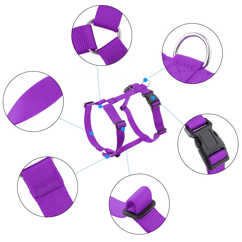 Purple H-shape dog harness with fit guide arrows showing strap connections