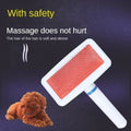 Non-Slip Pet Hair Removal Beauty Brush for Cats Dogs