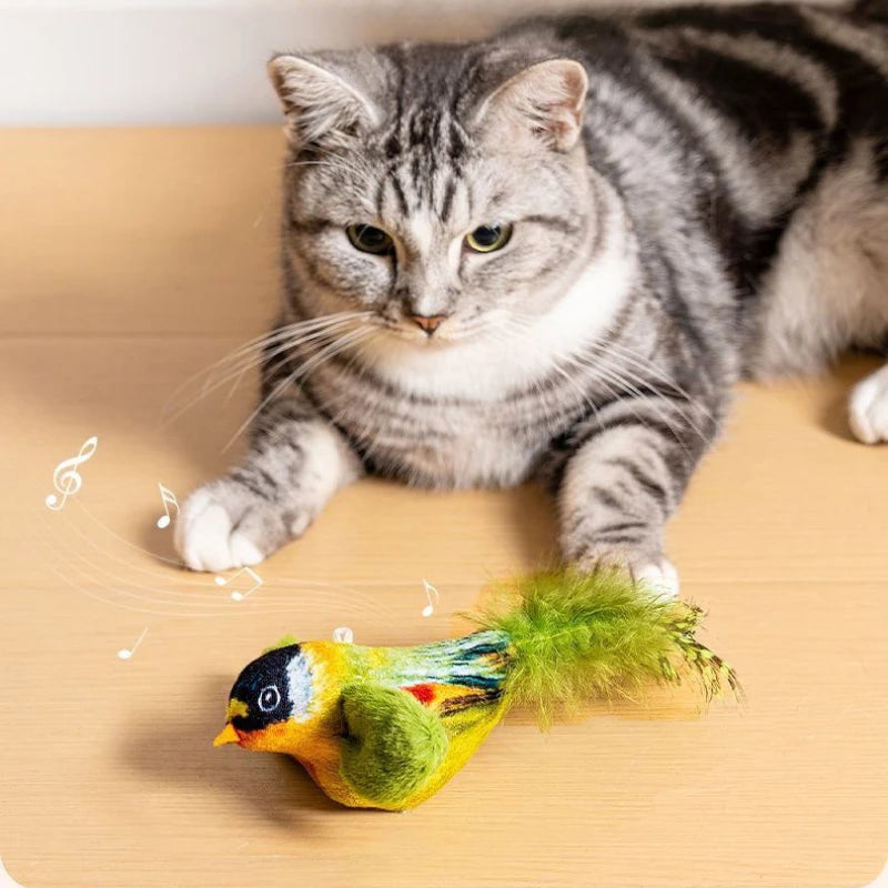 Wall-Hanging Bird Teaser Catnip Toy for Cats | PawJoyKwT