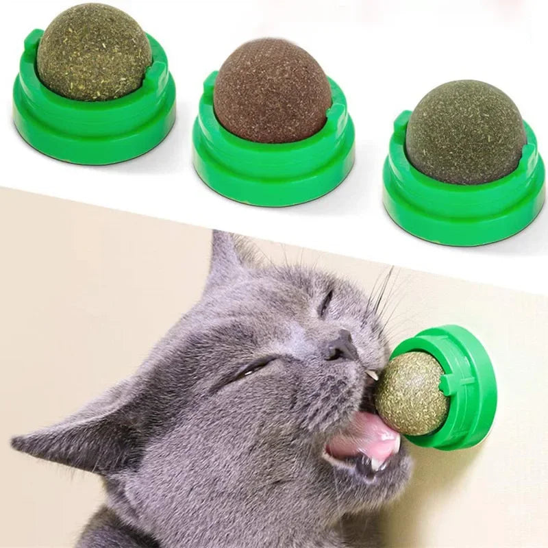Natural Catnip Wall Stick-On Ball Toy - Cat Treat Scratcher Snack