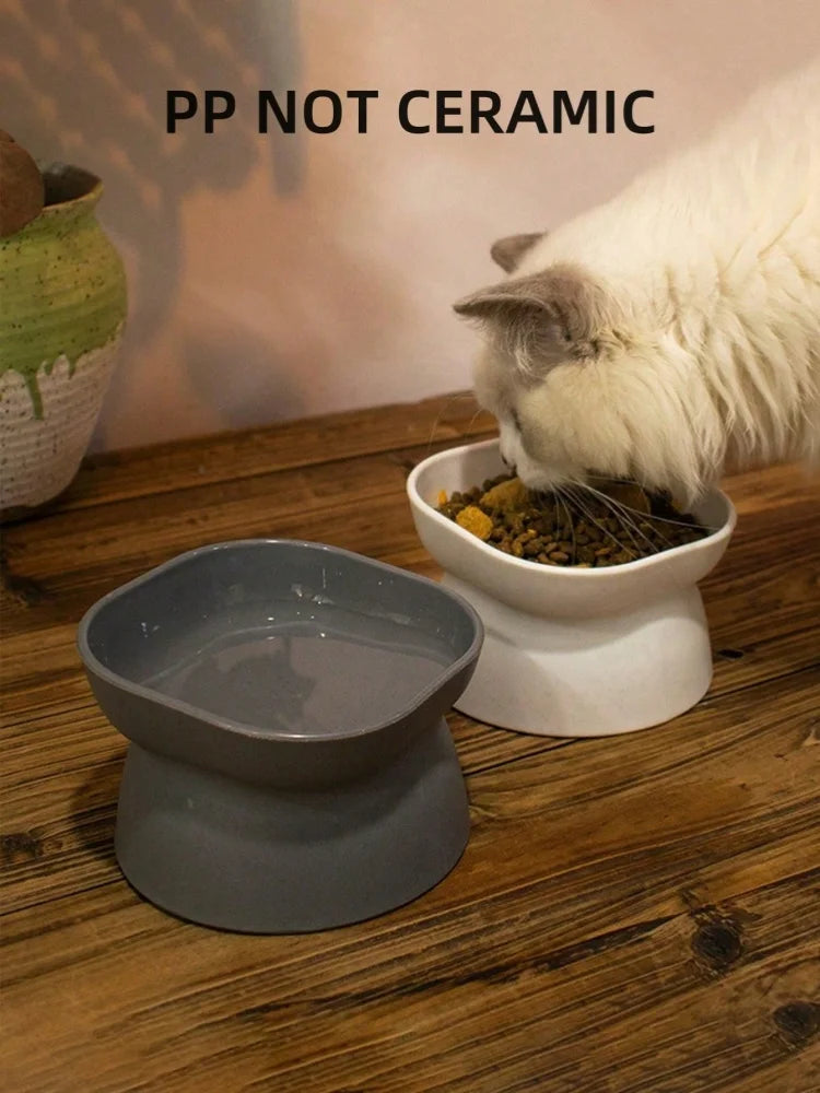 Pet Food & Water Bowl for Cats & Small Dogs