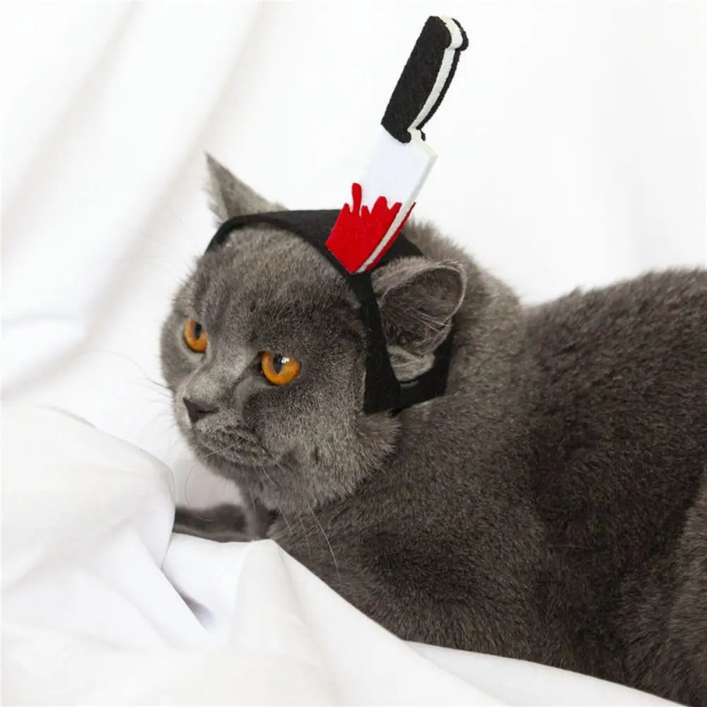 Gray cat wearing black horn headband with red and white panel detail