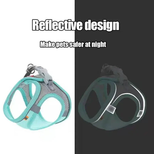 Pet harness vest with reflective trim, teal chest panel, gray mesh and adjustable straps