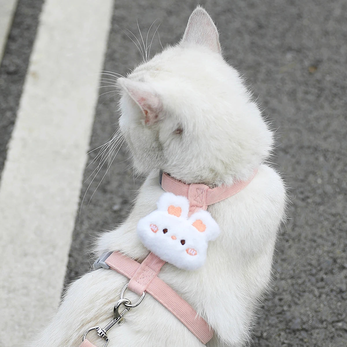Cat Harness Leash Set Escape Proof Adjustable Vest Kitten