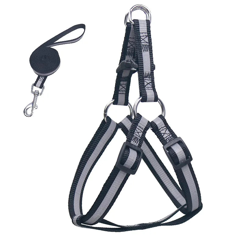 Reflective dog harness with leash, dark gray/black straps and silver metal clips