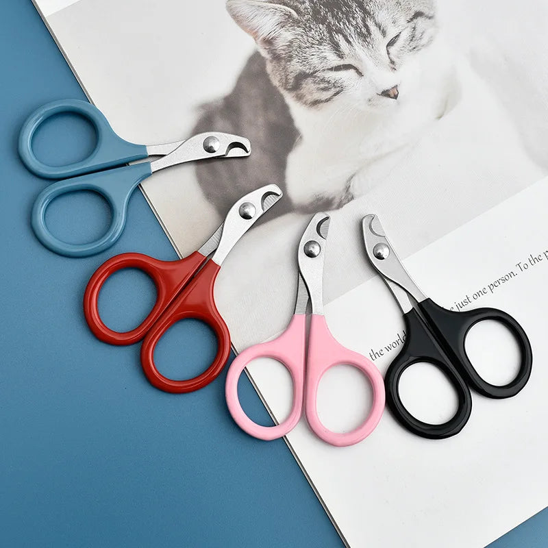 Pet nail clipper scissors set with mixed red, blue, pink, and black handles