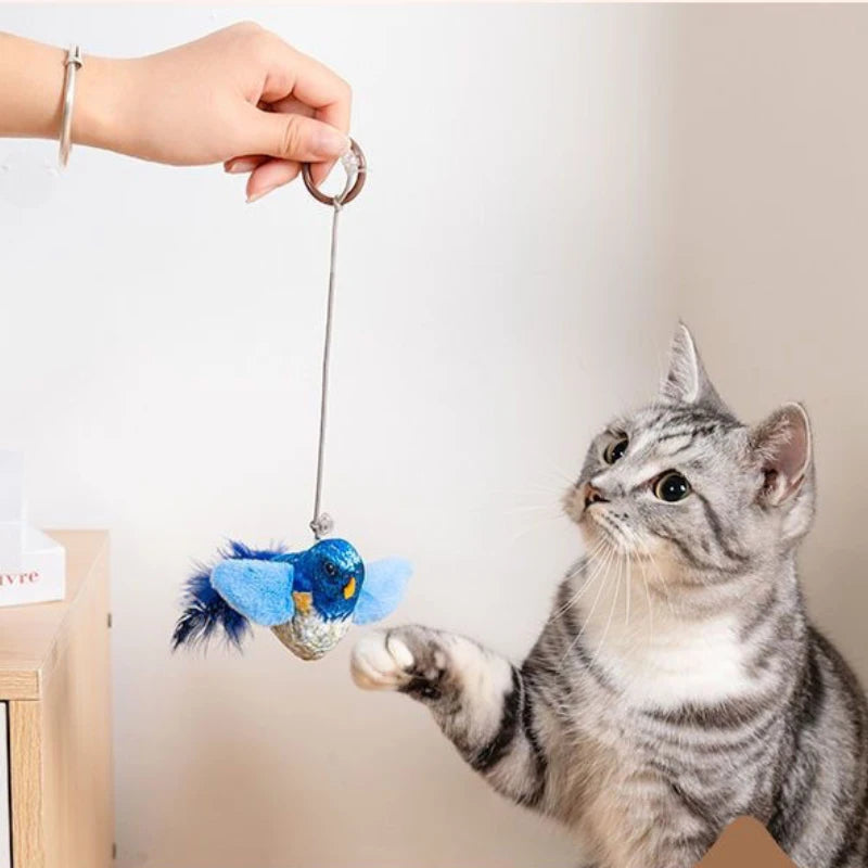 Wall-Hanging Bird Teaser Catnip Toy for Cats | PawJoyKwT