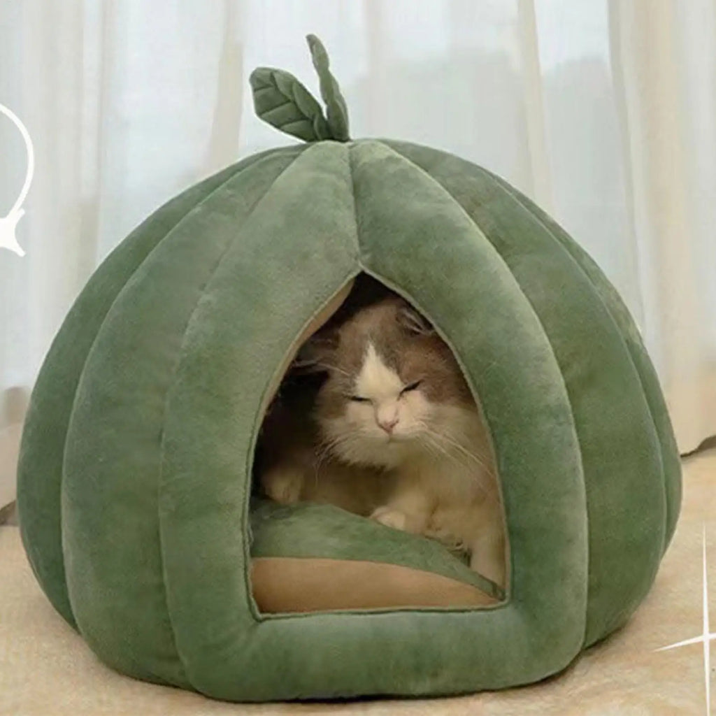 Pumpkin Cat House Enclosed Bed for Kittens