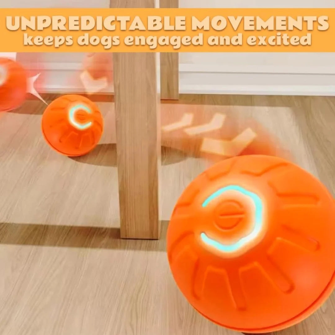 Smart Gravity Electric Bouncing Ball for Dogs & Cats