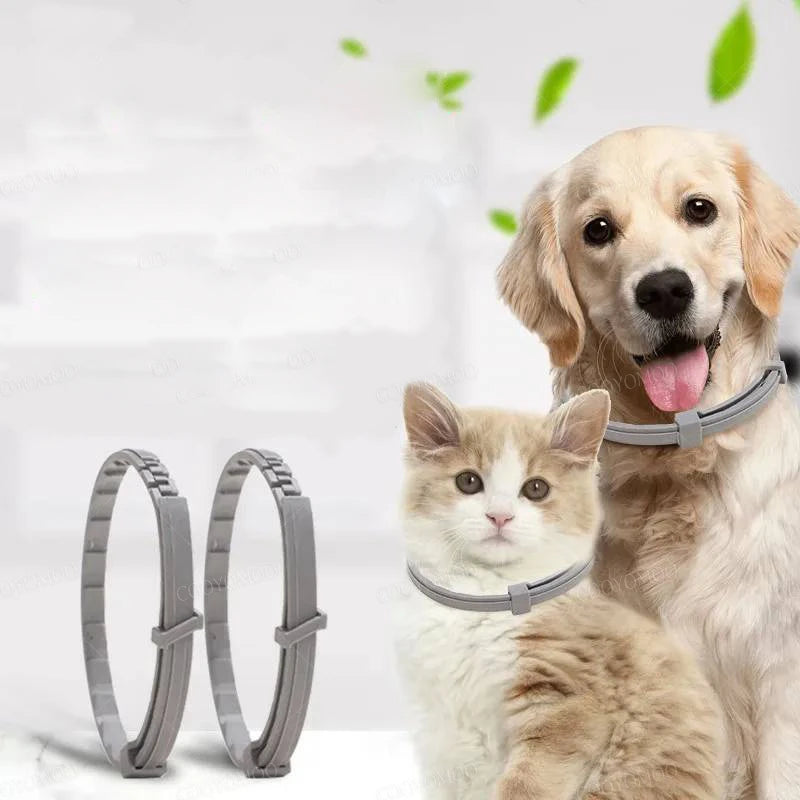 Adjustable Dog Cat Collar Small Dogs Kitten Colorful Pets