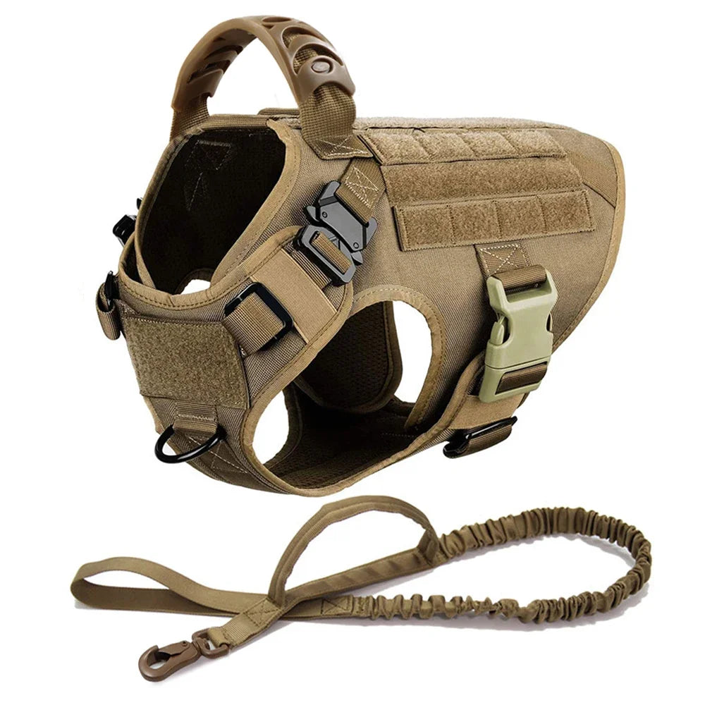 Tan dog harness with collar and coiled leash