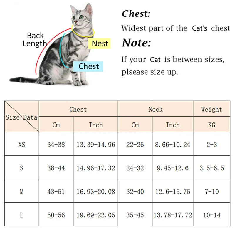 Breathable Pet Harness & Leash Set for Cats & Small Dogs