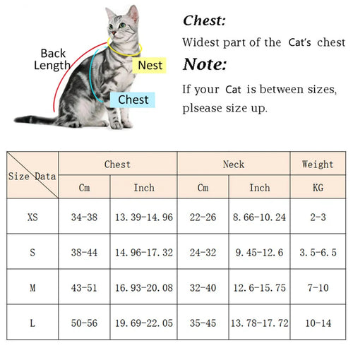 Cat harness sizing chart with chest and neck measurements and weight table
