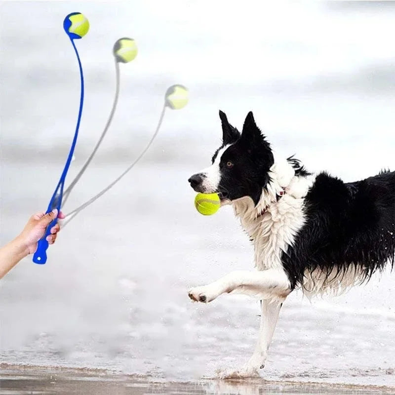 Outdoor Tennis Ball Launcher Fetch Training Set for Dogs