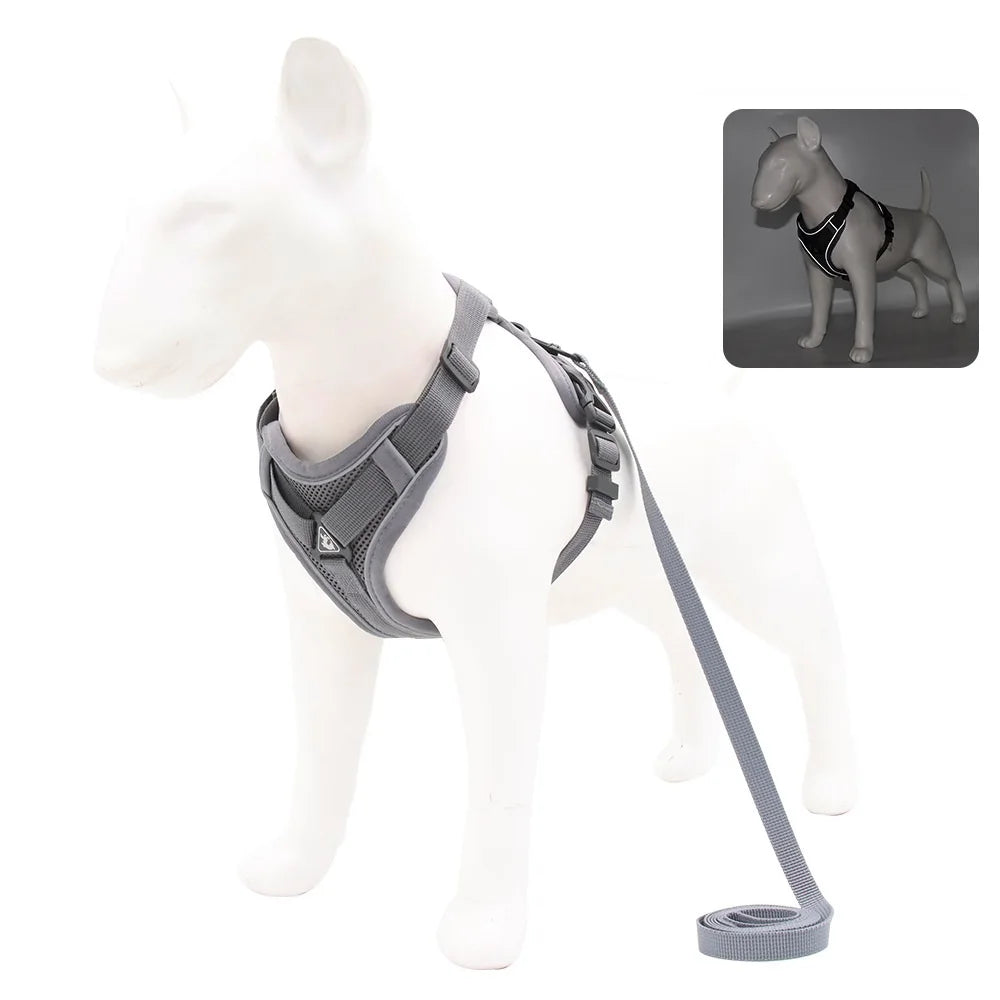 Dog harness and leash set, gray adjustable no-pull vest with matching leash