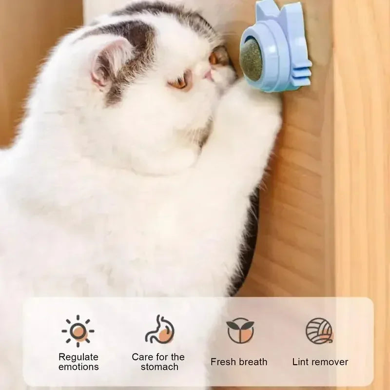 Wall Spin Catnip Ball Toy for Cats | PawJoyKwT