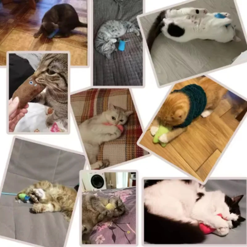 Sound-Squeak Plush Cat Toy | Interactive Cat Toy USA