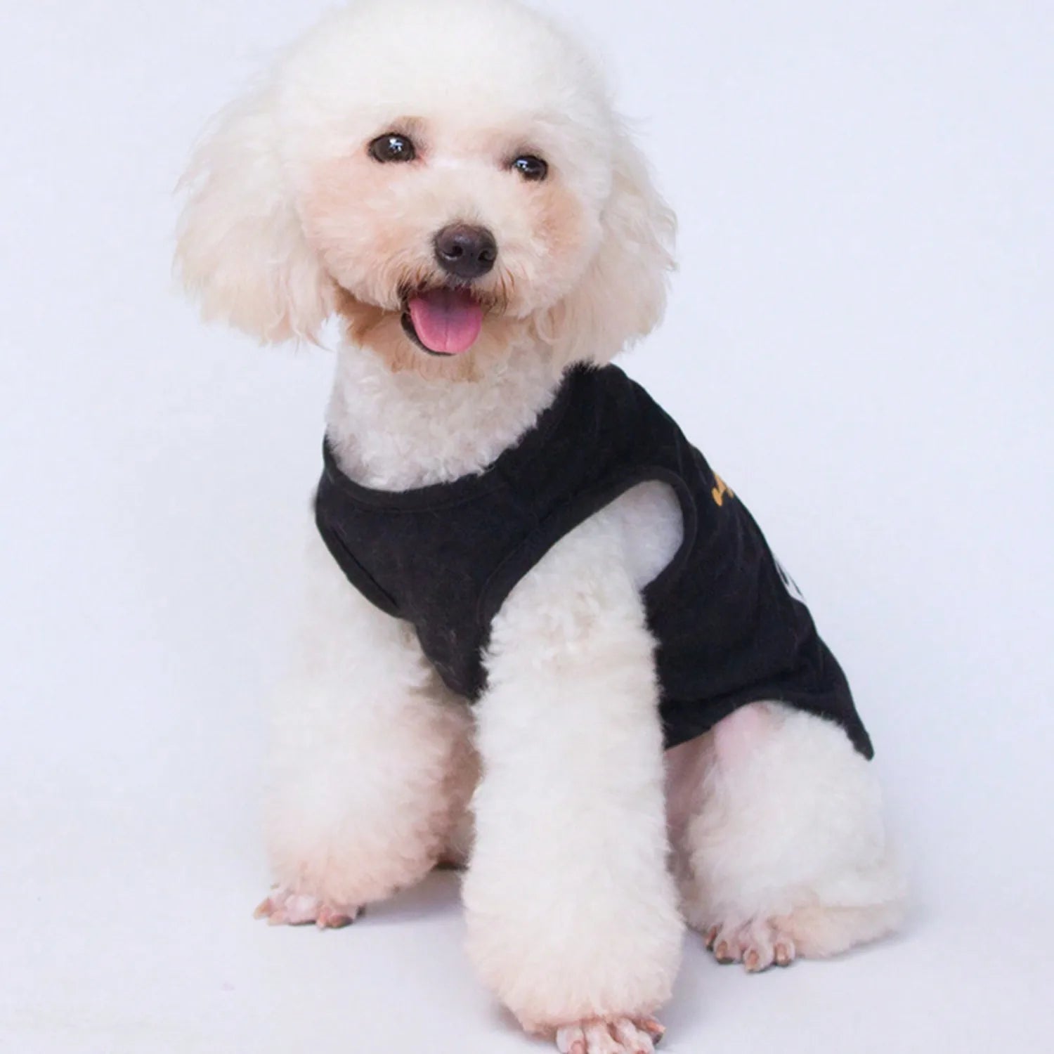 "The Prince Has Arrived" Pet Vest Outfit for Cats & Dogs