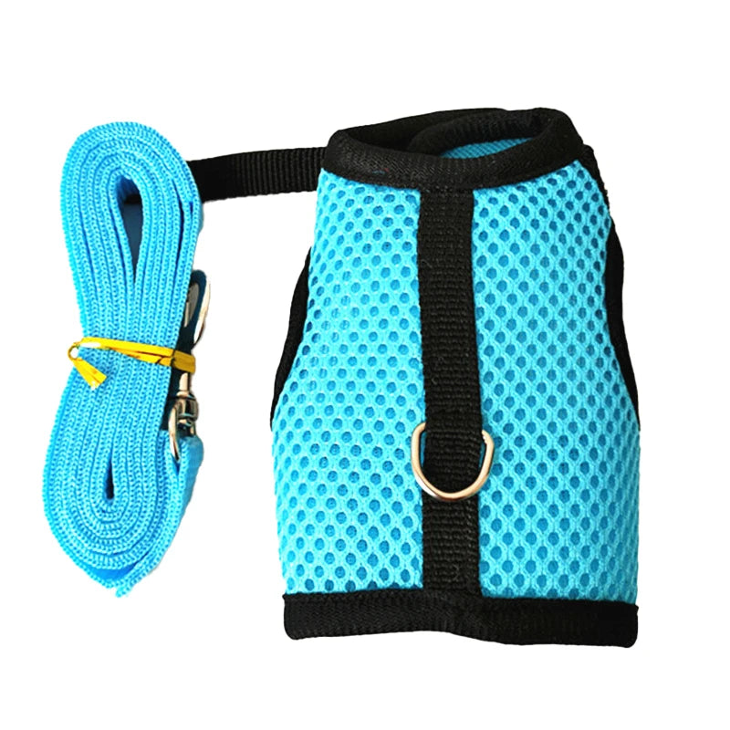 Light blue mesh harness and leash set for small pets, black trim, metal D-ring.
