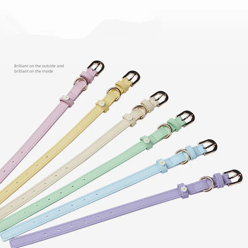 PU leather pet collars with daisy accents and alloy buckles, multiple colors laid out