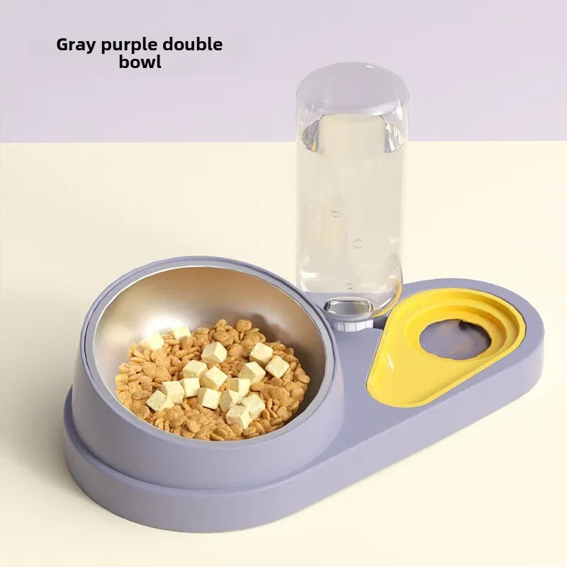 Double Bowl Pet Feeder with Auto-Refill Water Dispenser