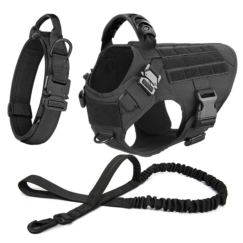 Black dog harness with collar, coiled leash, and small storage pouch