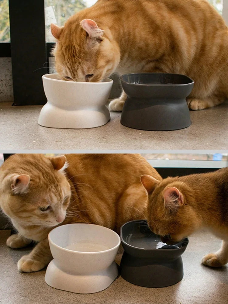 Pet Food & Water Bowl for Cats & Small Dogs