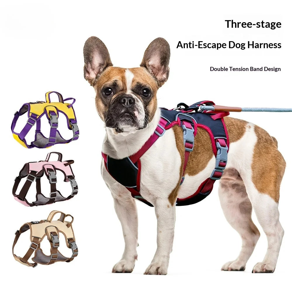 Three-Section Escape-Proof Dog Harness Vest Leash Large | PawJoyKwT