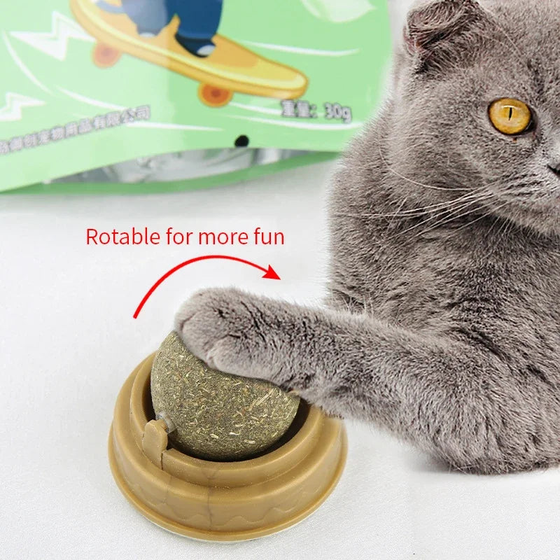 Natural Catnip Wall Stick-On Ball Toy - Cat Treat Scratcher Snack