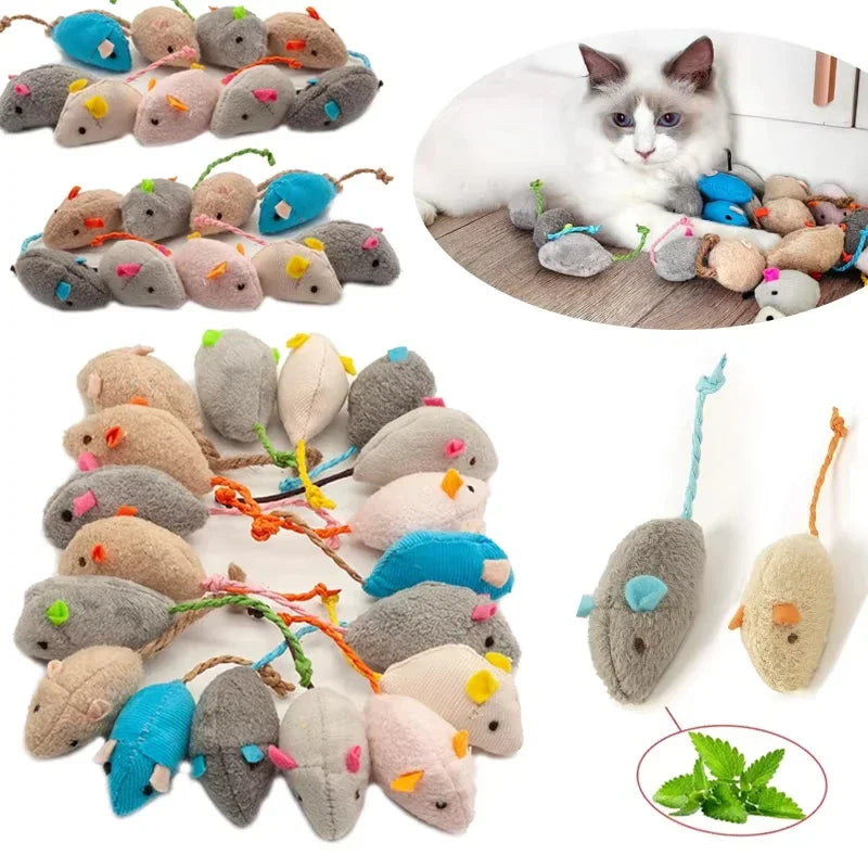 Catnip Rattle Mouse Toys for Indoor Cats | PawJoyKwT