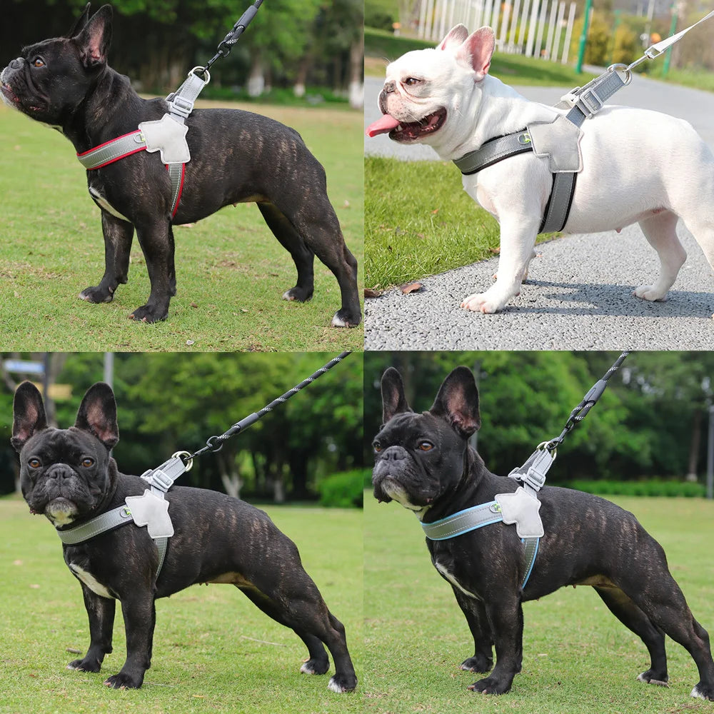 Dog Harness Leash Set Reflective Padded No Pull Vest Adjustable Medium Large