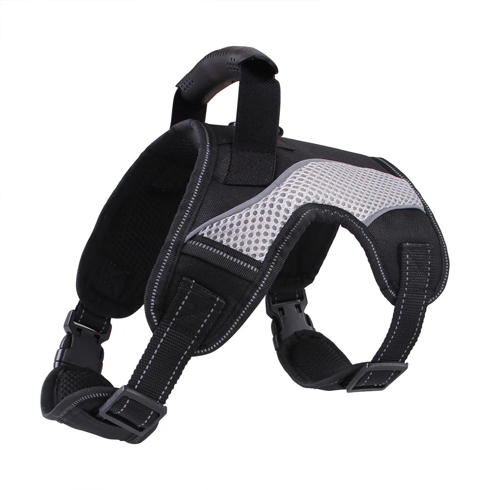Padded no-pull dog harness with leash clips, black with light gray breathable mesh