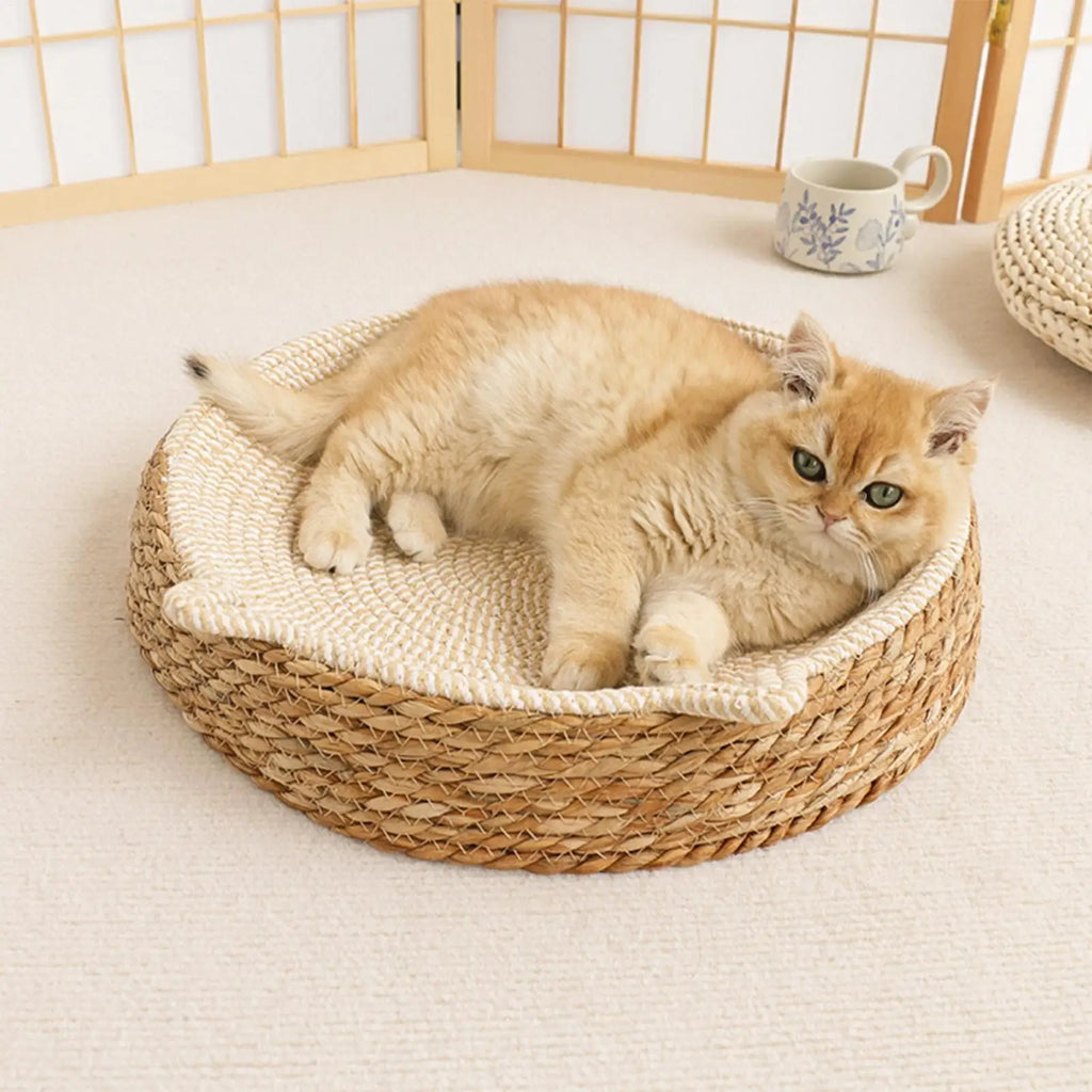 Natural Rattan Woven Cat Sofa Bed Indoor Scratch Board