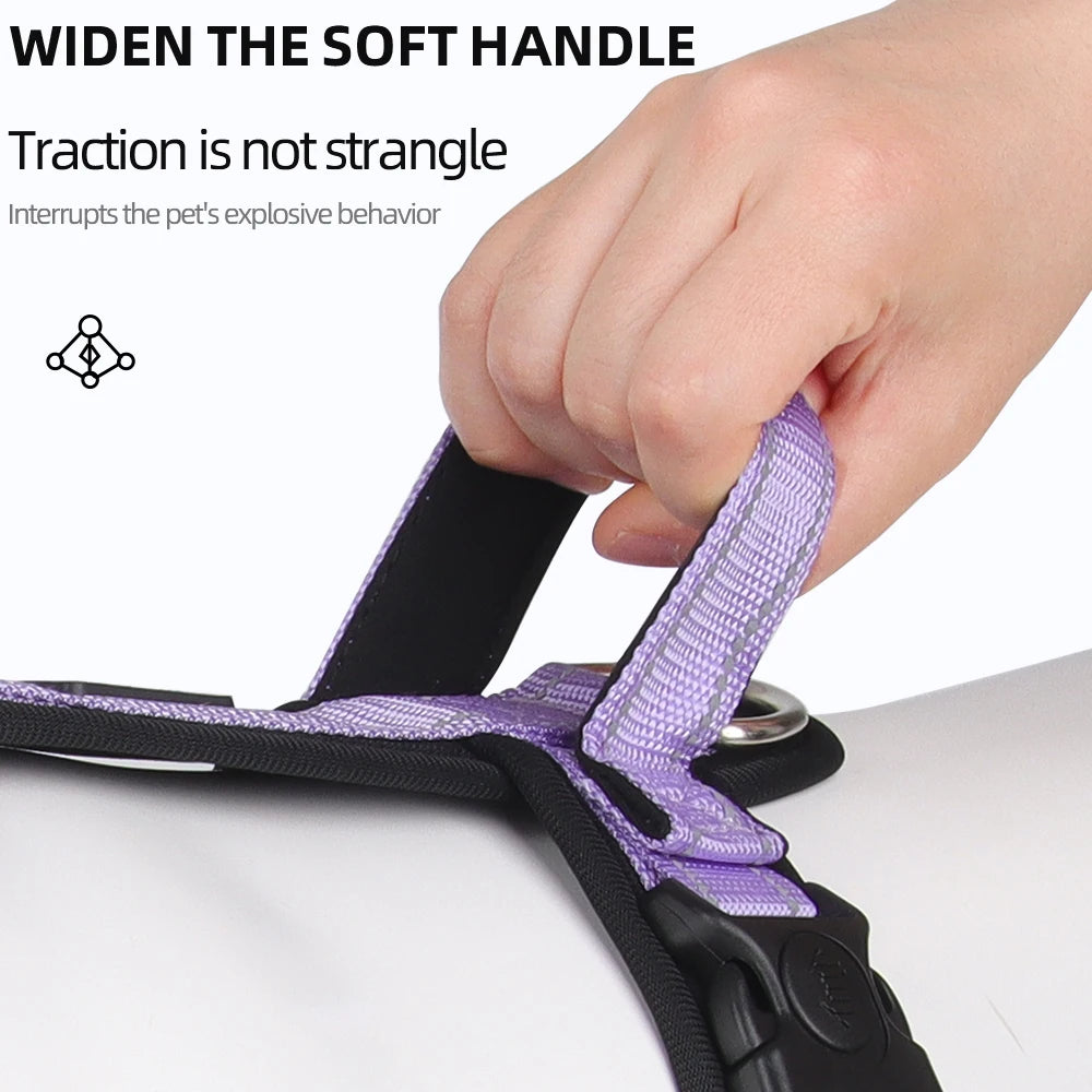 Purple and black dog harness close-up with soft strap held by a hand