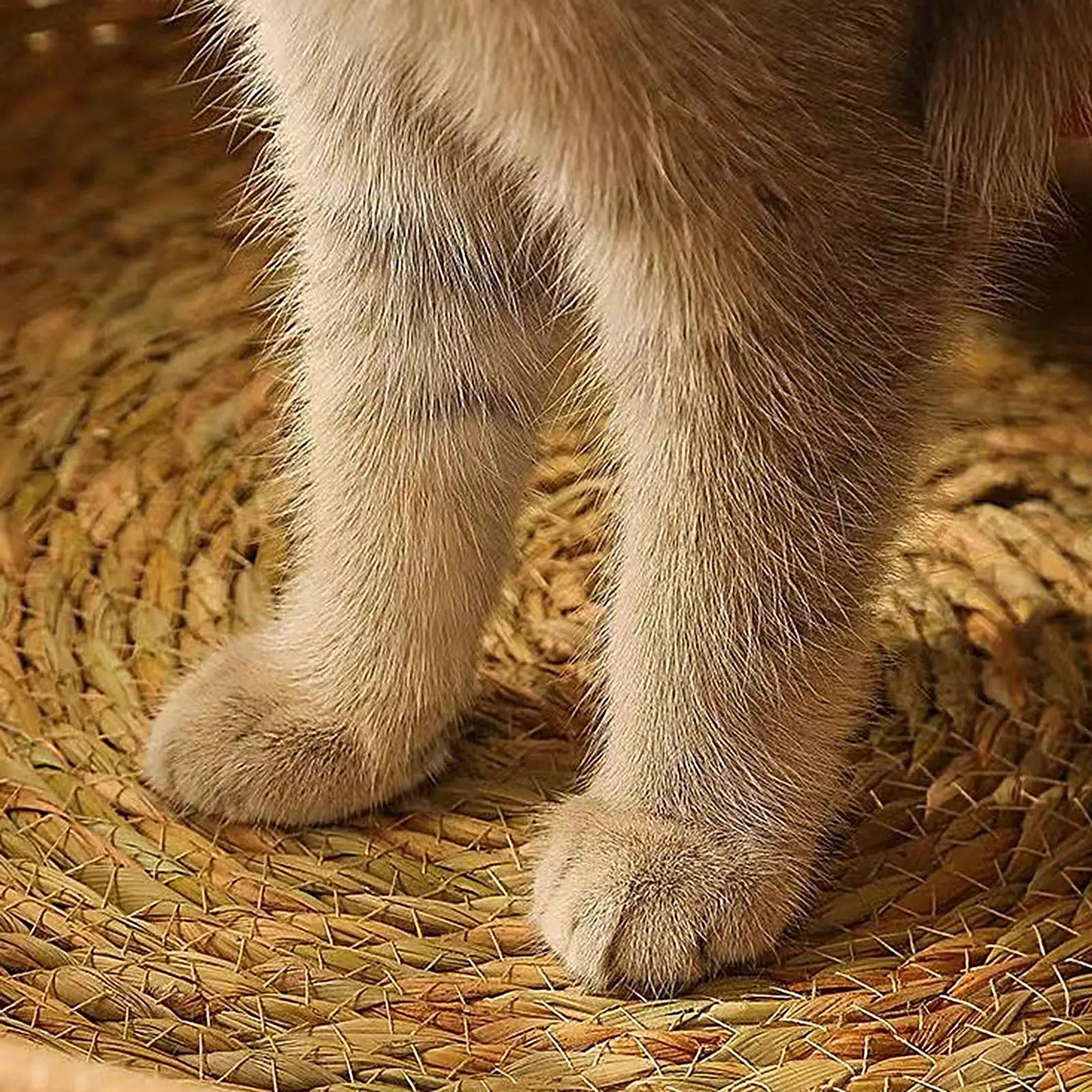 Cotton Rope Round Cat Basket Bed with Pillow