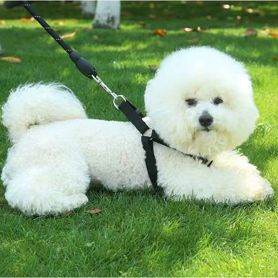 Adjustable Triangular Breathable Nylon Dog Harness Vest | PawJoyKwT