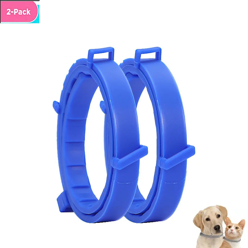 Adjustable Dog Cat Collar Small Dogs Kitten Colorful Pets