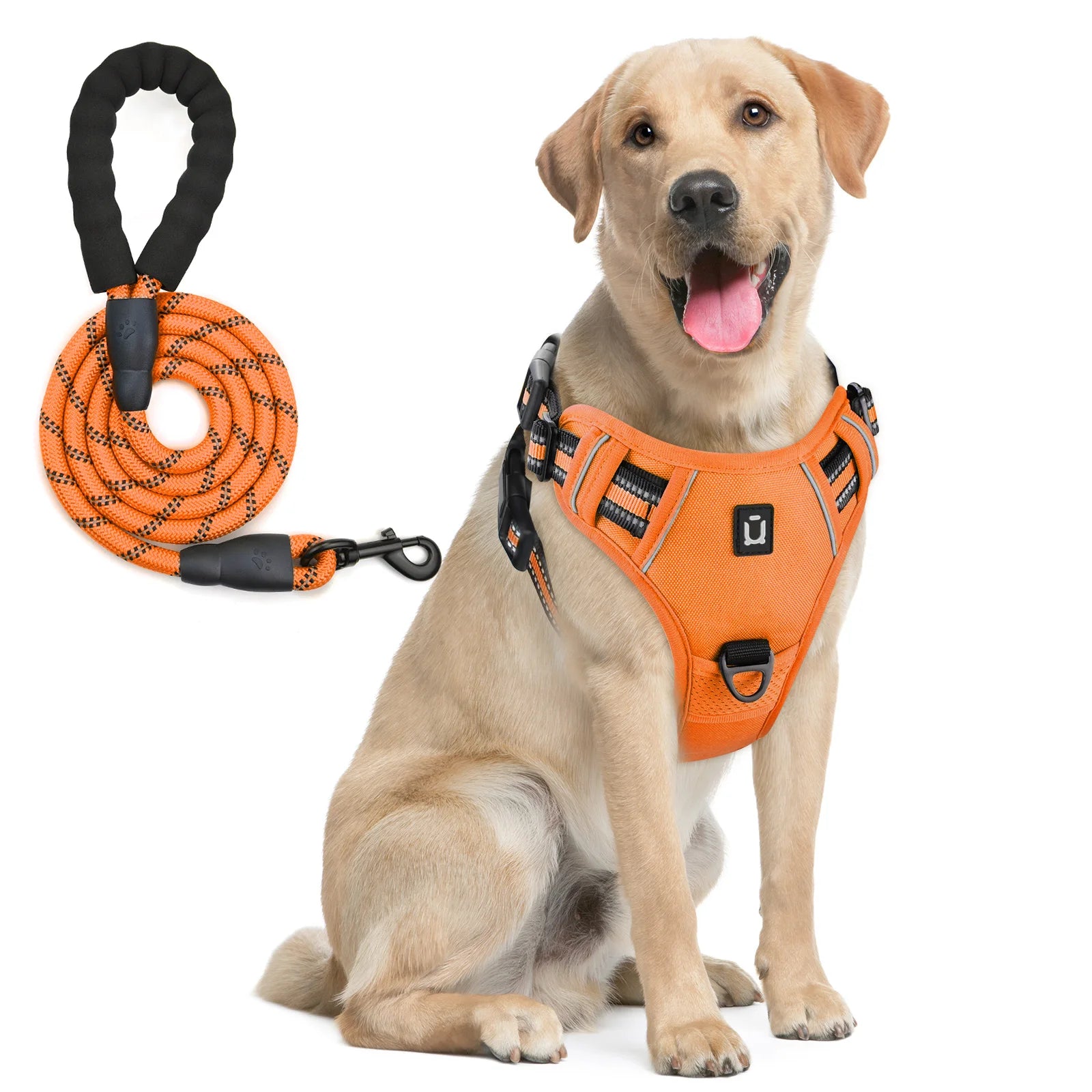 Orange dog harness with matching leash set, reflective no-pull chest strap