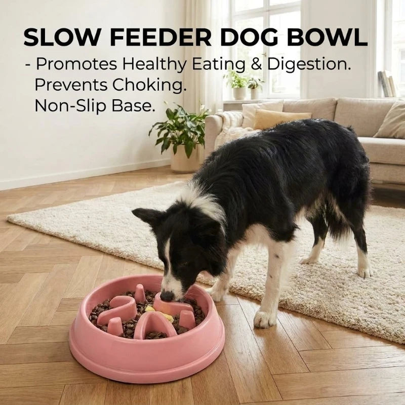 Anti-Choking Slow Feeder Bowl Small Medium Dogs