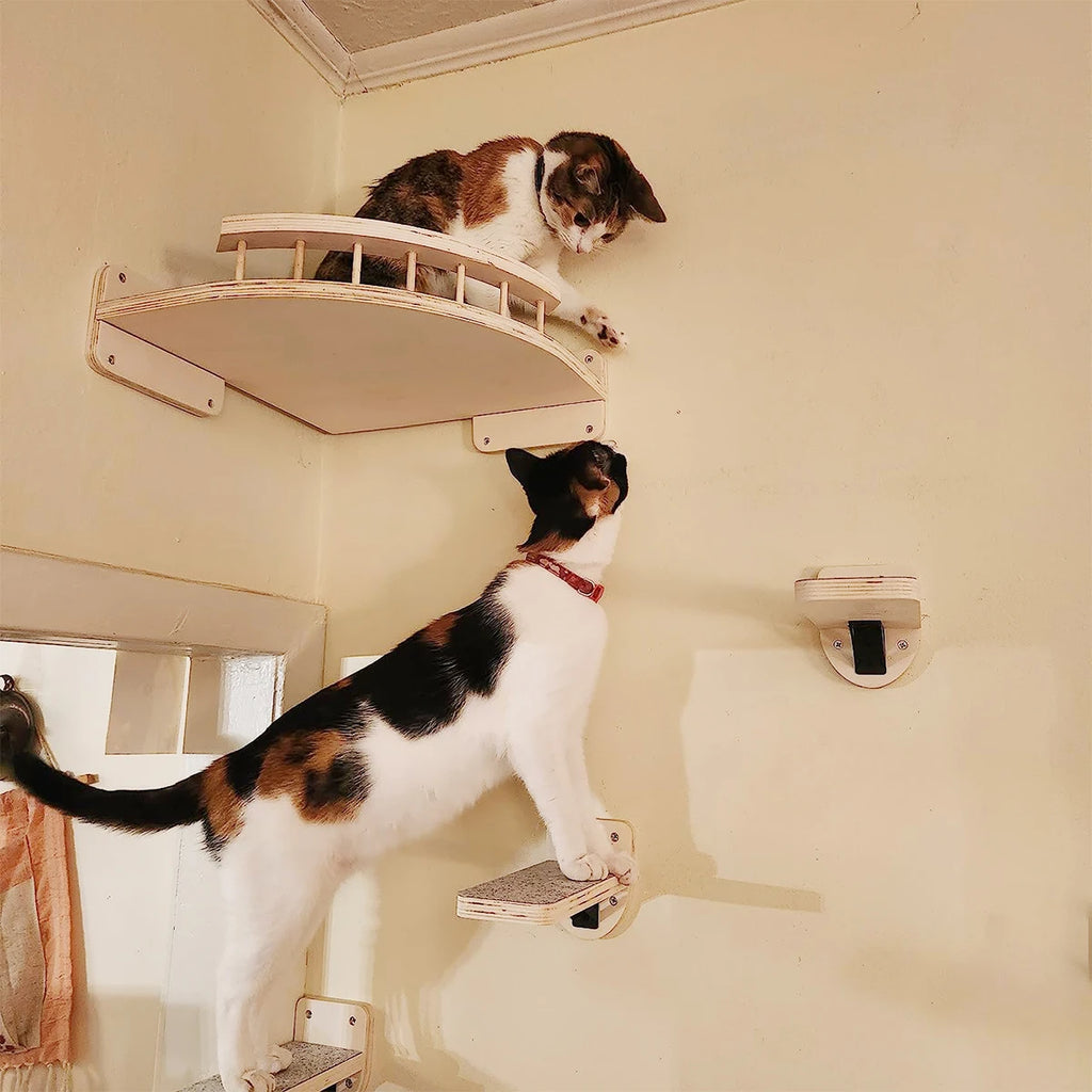 Wall Mounted Cat Corner Shelf Bed Indoor Climbing Furniture
