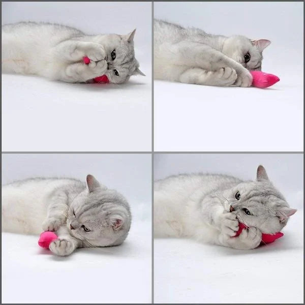 Soft Claw Bite Cat Toy | Gentle Cat Chew Toy for US Cats