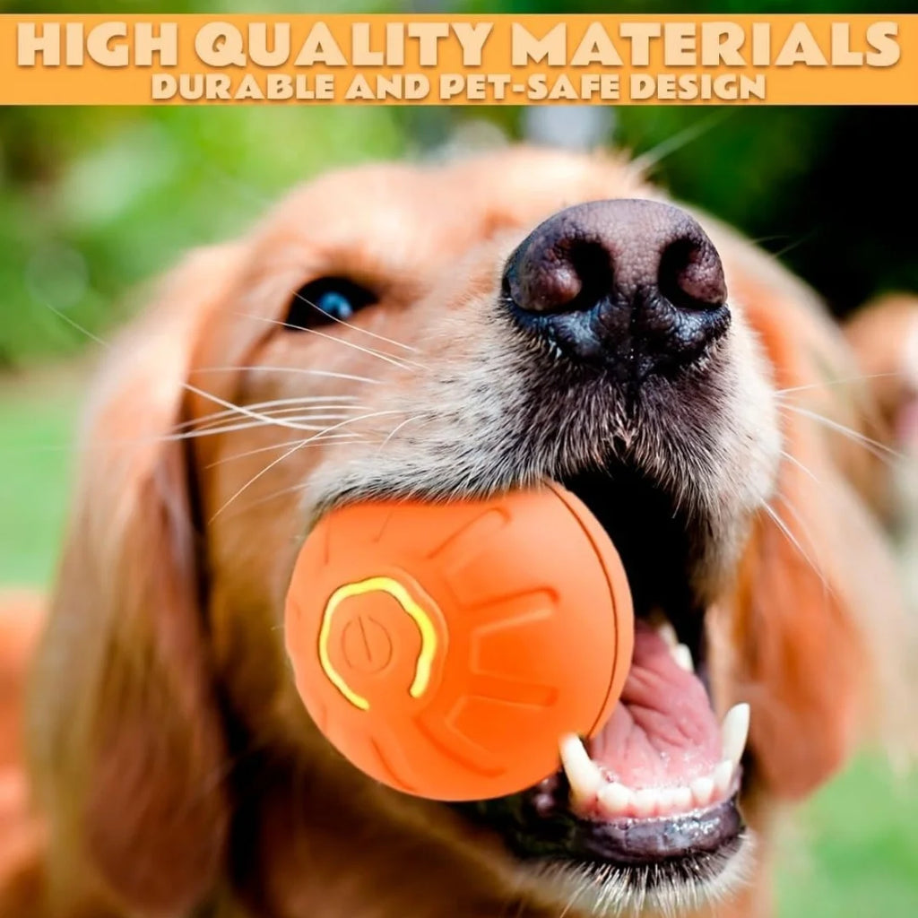 Smart Gravity Electric Bouncing Ball for Dogs & Cats