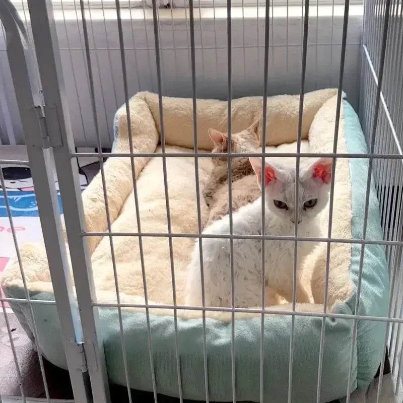 New Bed for Cats Pet Products Cushions Kitten Goods Accessories Dog All Home Supplies Things Accessory Habitats Basket House Bed